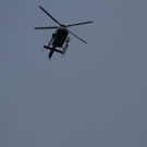 normal_120211nusstotgaff_0198.jpg