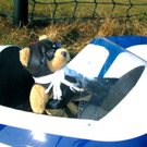 BK_flugplatz_tisis 19_jpg-1297543456