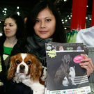20091128_haustiermesse_0475.jpg