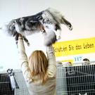 20091128_haustiermesse_0615.jpg