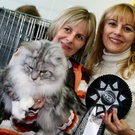 20091128_haustiermesse_0626.jpg