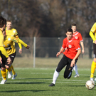 VB Altach - Dornbirn 011 111_jpg-1297595984