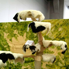 20091128_haustiermesse_0637.jpg