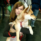 20091128_haustiermesse_0660.jpg