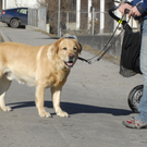 038_bearbeitet-1_jpg-1297598345