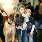 20091128_haustiermesse_0665.jpg