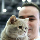20091128_haustiermesse_0675.jpg