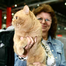 20091128_haustiermesse_0684.jpg