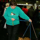 20091128_haustiermesse_0690.jpg