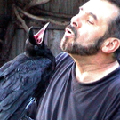 _c_ Peter Schoberl mit seinen Raben _01__jpg-1297603075