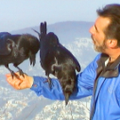 _c_ Peter Schoberl mit seinen Raben _03__jpg-1297603095