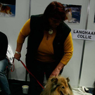 20091128_haustiermesse_0712.jpg