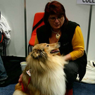 20091128_haustiermesse_0713.jpg