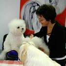20091128_haustiermesse_0743.jpg