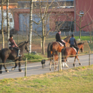 BK_kaiserwetterinnofels 12_jpg-1297611560