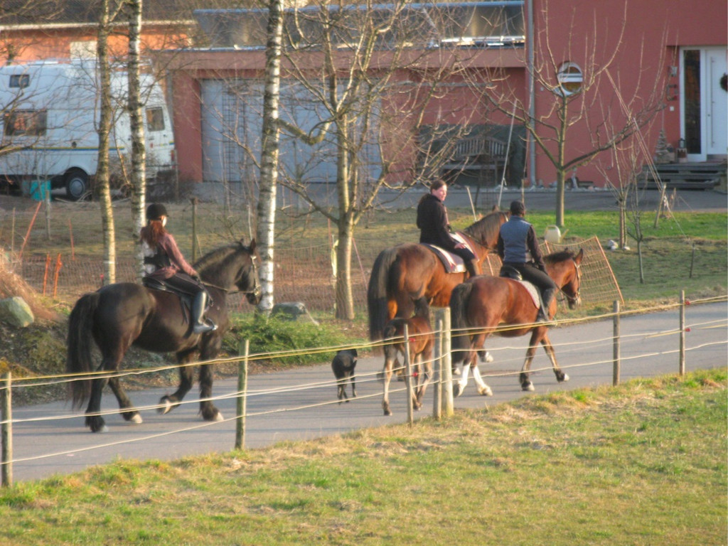 BK_kaiserwetterinnofels 12_jpg-1297611560