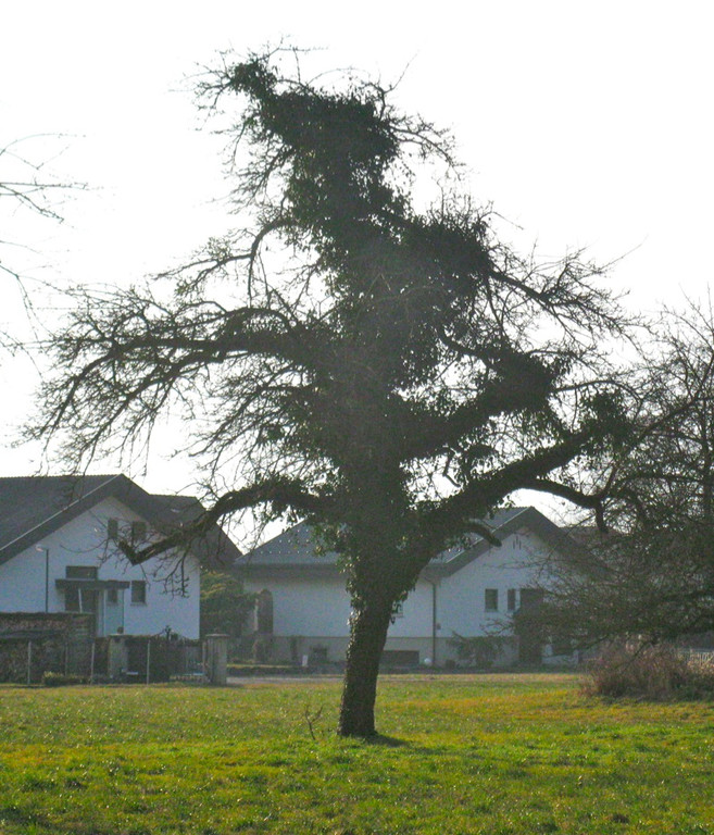 BK_kaiserwetterinnofels 4_jpg-1297611529