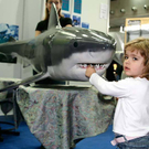 20091128_haustiermesse_0756.jpg