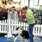 20091128_haustiermesse_0789.jpg