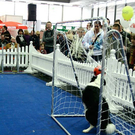 20091128_haustiermesse_0799.jpg