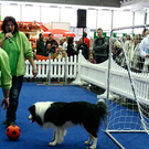 20091128_haustiermesse_0800.jpg