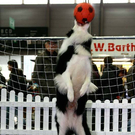 20091128_haustiermesse_0816.jpg