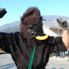 DSC_0212.JPG