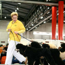 20091128_haustiermesse_0843.jpg