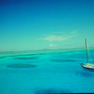 084_JPG-1297627993