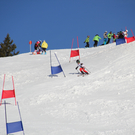 daniel schwaiger_JPG-1297628661