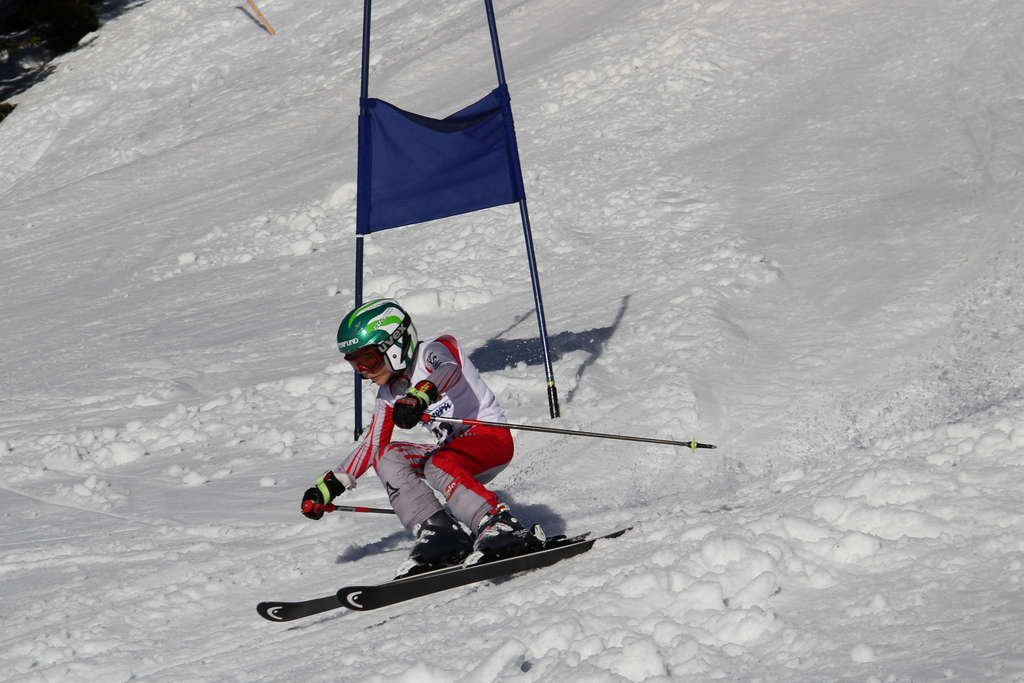 julius reiter_JPG-1297628728