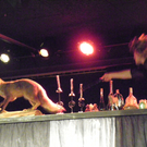 109_1051_jpg-1297641398