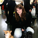 20091129_Haustiermesse_0083.jpg