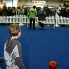 20091129_Haustiermesse_0110.jpg