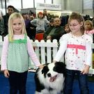 20091129_Haustiermesse_0115.jpg