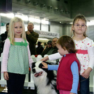 20091129_Haustiermesse_0122.jpg