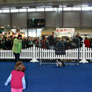 20091129_Haustiermesse_0127.jpg