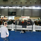 20091129_Haustiermesse_0130.jpg