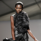 Fashion_Elie_Tahari_Fall_2010_NYRD116.jpg
