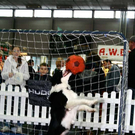 20091129_Haustiermesse_0140.jpg