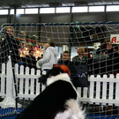 20091129_Haustiermesse_0142.jpg