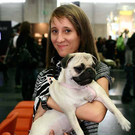 20091129_Haustiermesse_0155.jpg