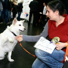 20091129_Haustiermesse_0176.jpg