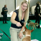 20091129_Haustiermesse_0186.jpg