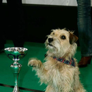 20091129_Haustiermesse_0197.jpg