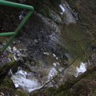 IMG_2860.jpg
