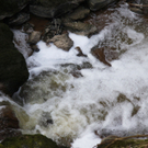 IMG_2866_neu.jpg