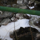 IMG_2865_neu.jpg