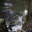 IMG_2867_neu.jpg