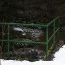 IMG_2854_neu.jpg